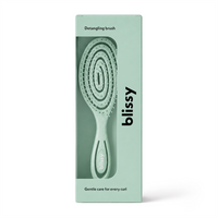 Blissy Detangling Brush - Teal